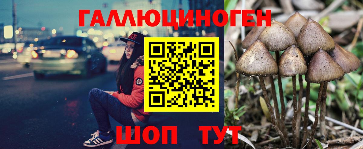 Псилоцибиновые грибы Cubensis  купить  сайты  Галлюциногенные грибы ЛСД  Губаха  Вход с VPN 