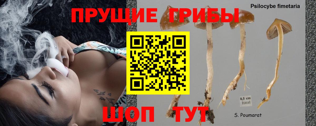 Псилоцибиновые грибы мухоморы Губаха